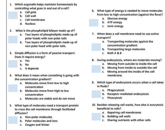 PLEASE HELP ME please-example-1