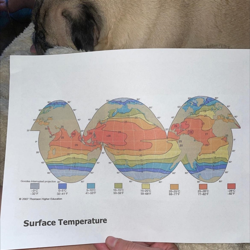 Which side of the Pacific and Atlantic Oceans is colder at 40°N? A. western B. eastern-example-1