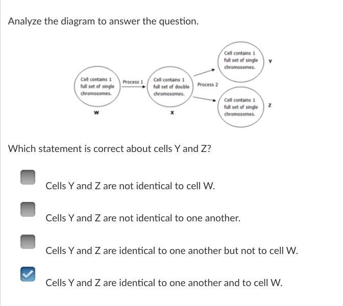 MASTERY CONNECT MITOSIS-example-1