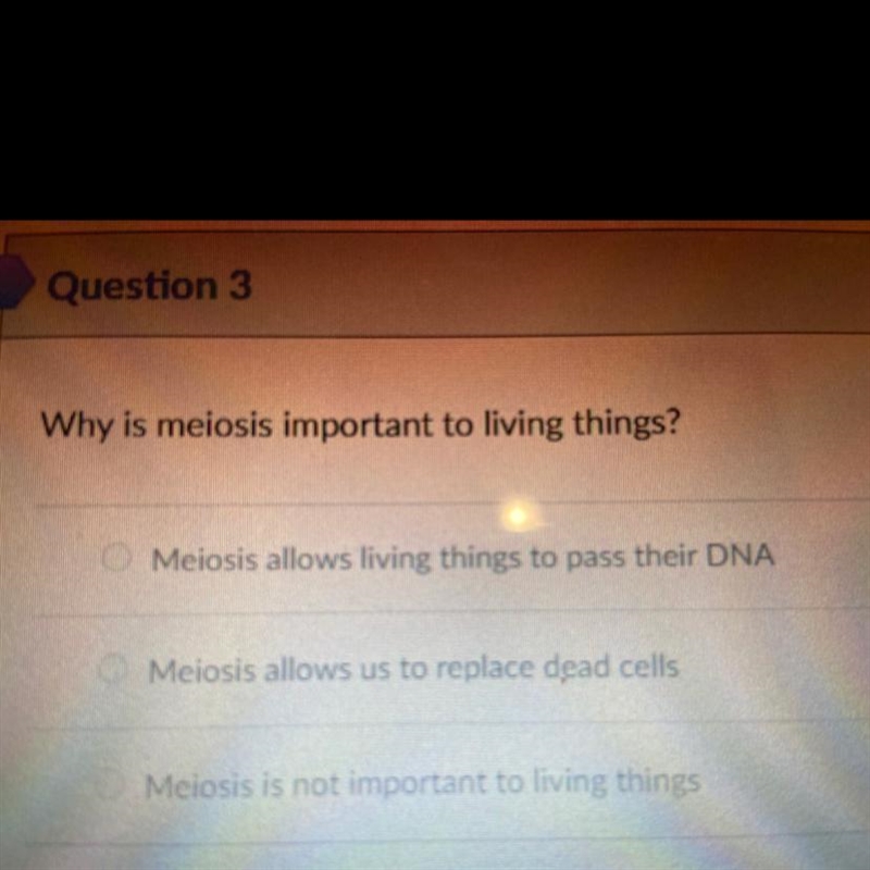 Why is meiosis important to living things? Which one? (First, second or third option-example-1