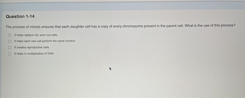 The process of mitosis ensures that each daughter cell has a copy of every chromosome-example-1