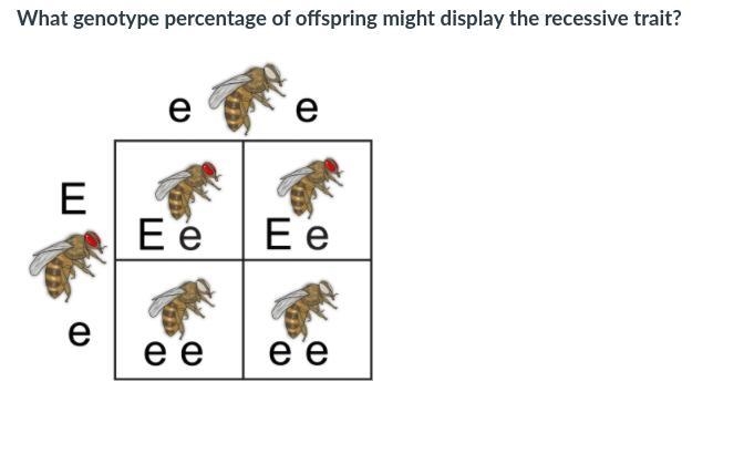 Help meeeeeeeeeeeeee-example-1