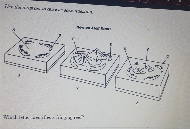 Which letter identifies a fringing reef?​-example-1