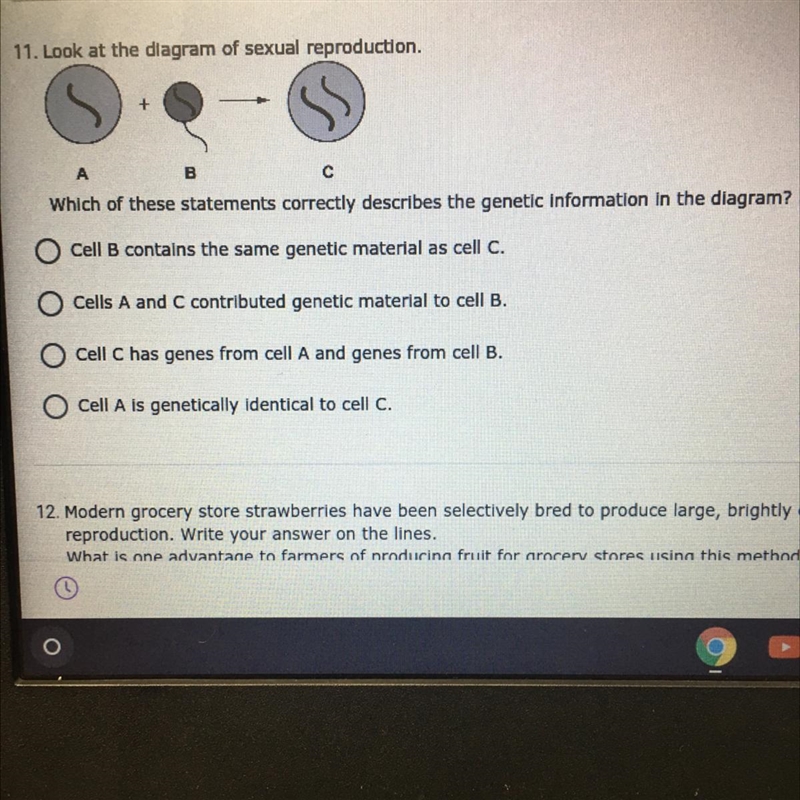 Look at the diagram of sexual reproduction. ^^^ (PICTURE ATTACHED) Which of these-example-1