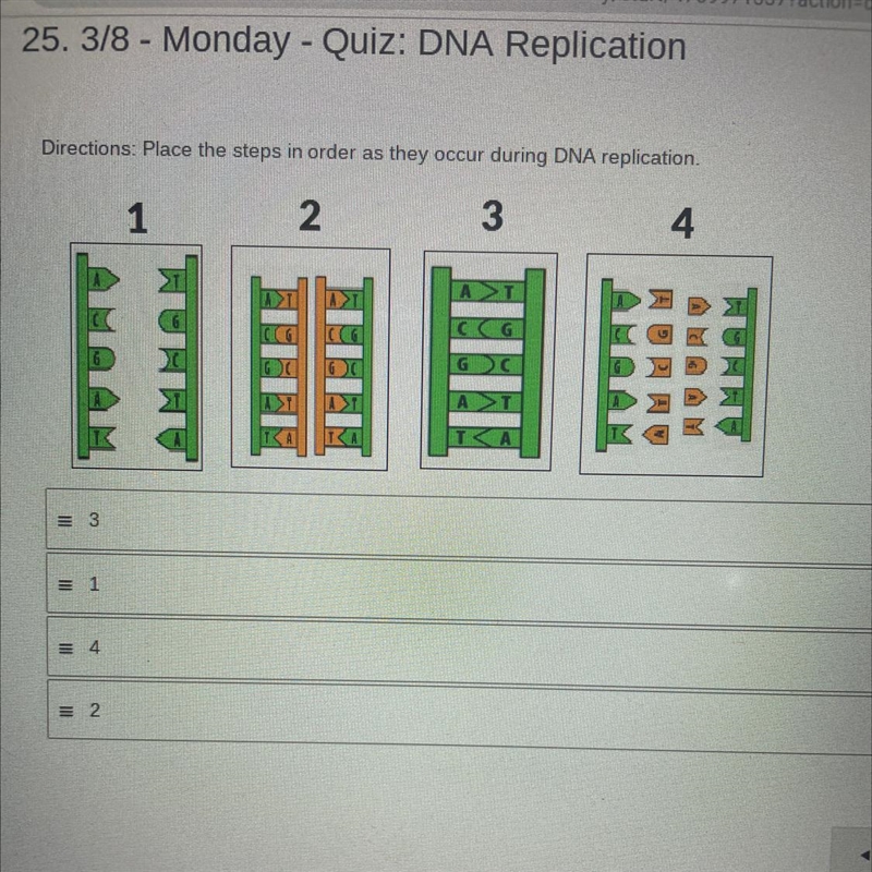 Place the steps in order as they occur during DNA replication.-example-1