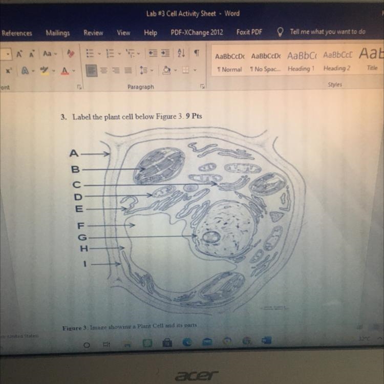 3. Please Label the plant cell below Figure 3. 9 Pts А B C D E F G H I-example-1