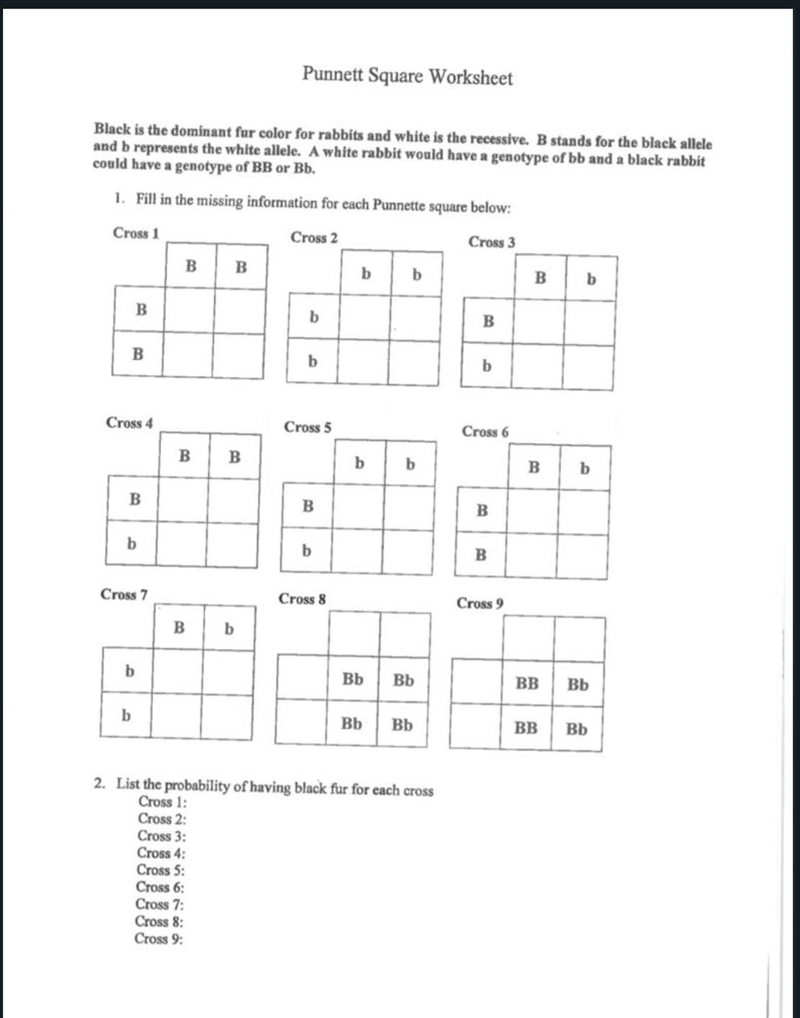 Fill in the missing information for each Punnett square below:-example-1