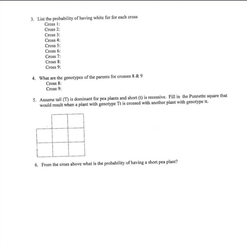 Fill in the missing information for each Punnett square below:-example-2