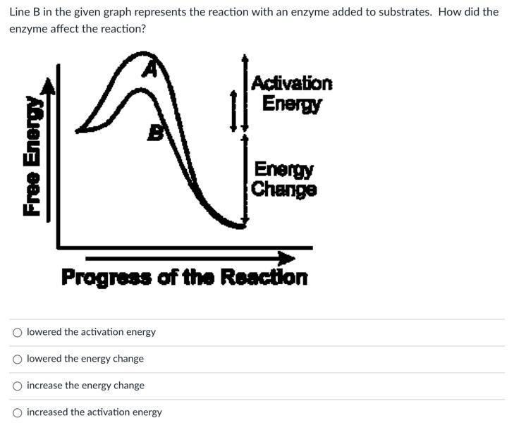 Line B in the given graph represents the reaction with an enzyme added to substrates-example-1