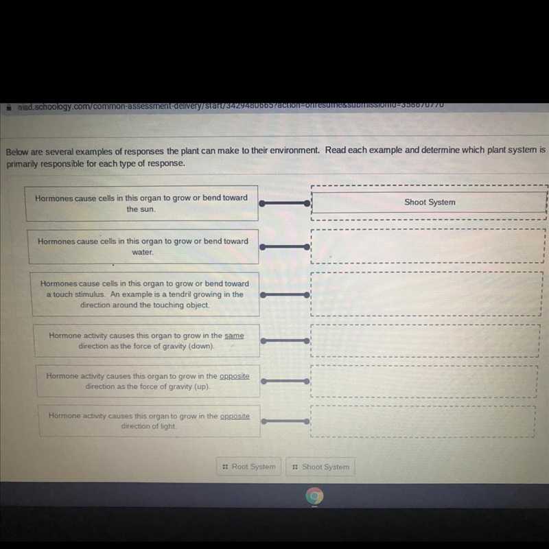 Can you help me identify if the rest are from the root or shoot system? pls help-example-1