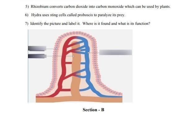 Answer this question properly​-example-1