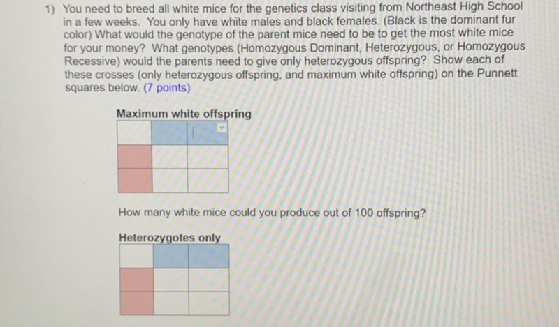 I need to breed all white mice for the genetics class visiting from a High School-example-1