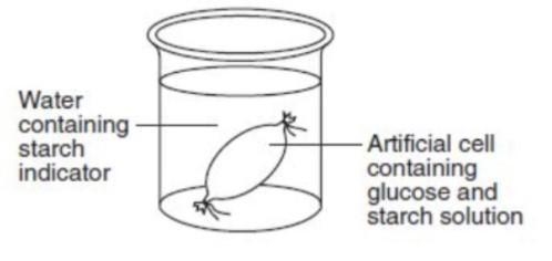 Look at the laboratory setup below. What would this laboratory setup most likely be-example-1