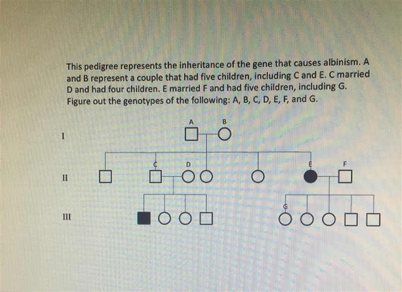 What is the answer with explaining-example-1