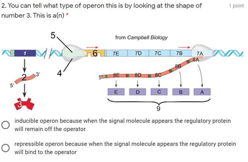 Please help! Pick on of the following-example-1