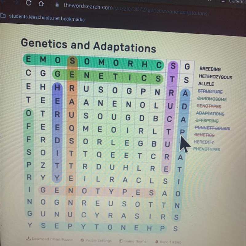 I can’t find breeding,heterozygous,Allele-example-1