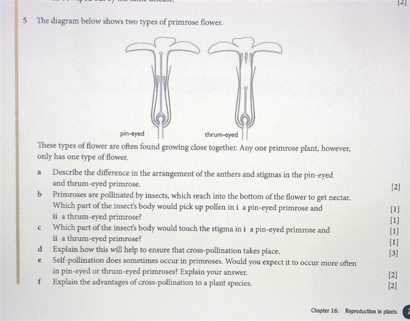 A. Describe the difference in the arrangements of the anthers and stigmas in the pin-example-1