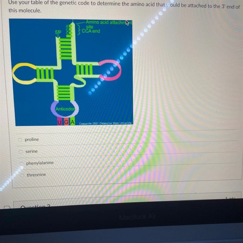 Use your table of the genetic code to determine the amino acid that would be attached-example-1