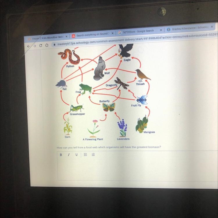 How can you tell from a food web which organisms will have the greatest biomass?-example-1