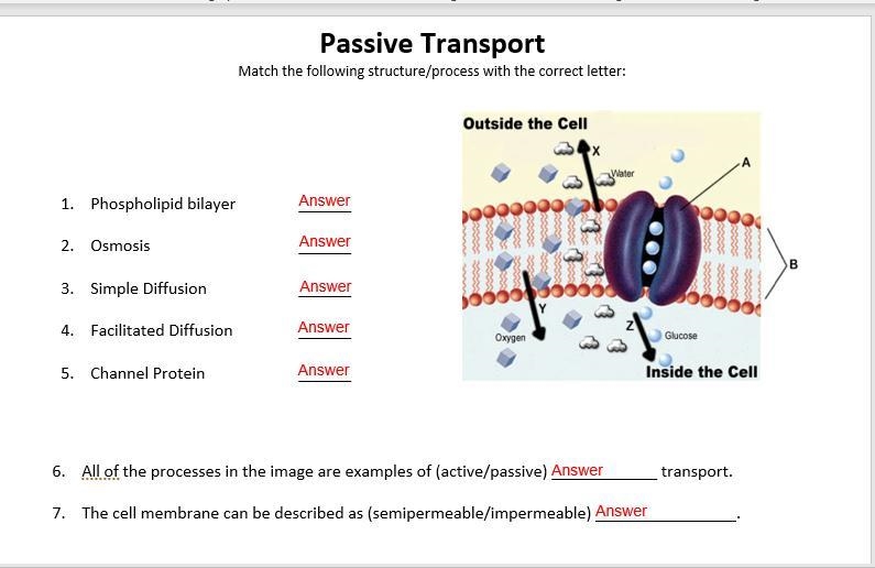 I need help with these questions please-example-1