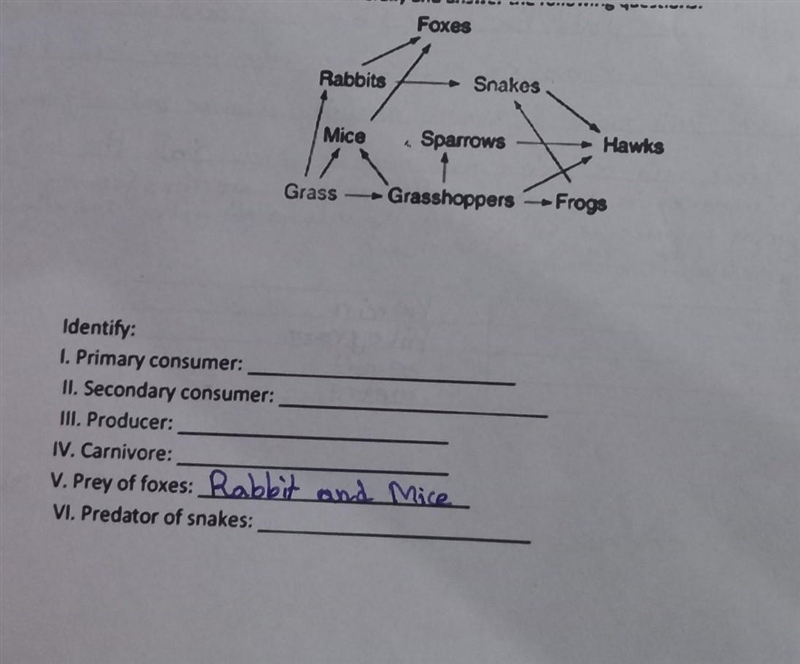 Please solve this question its easy peasy. science.​-example-1