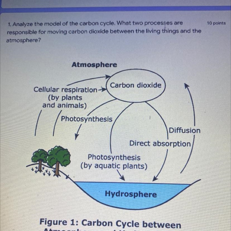 What is the answer for this-example-1