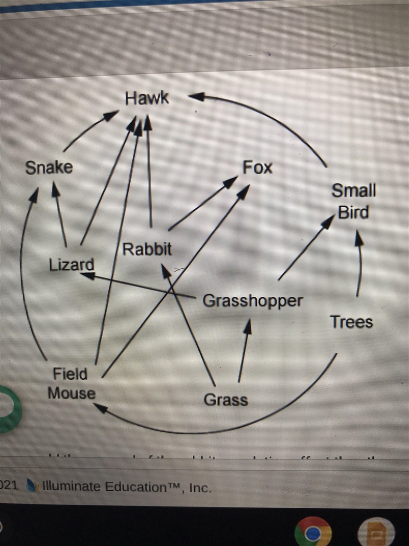 [15 POINTS!!] The diagram below shows a food web. How would the removal of the rabbit-example-1