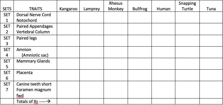 Name_________________________________ Date_________ Per.____ CLADOGRAM WORKSHEET Step-example-1