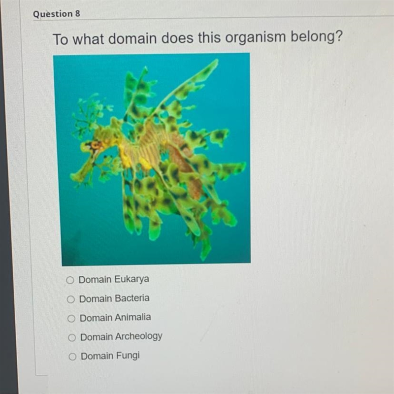 Question 8 To what domain does this organism belong? Domain Eukarya Domain Bacteria-example-1