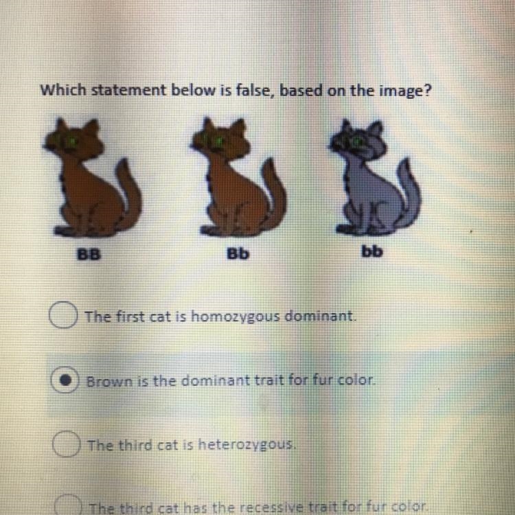 Which statement below is false based on the image?-example-1