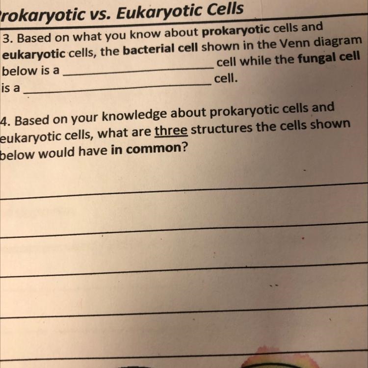 4. For the picture can you answer 3 or 4 please Based on your knowledge about prokaryotic-example-1