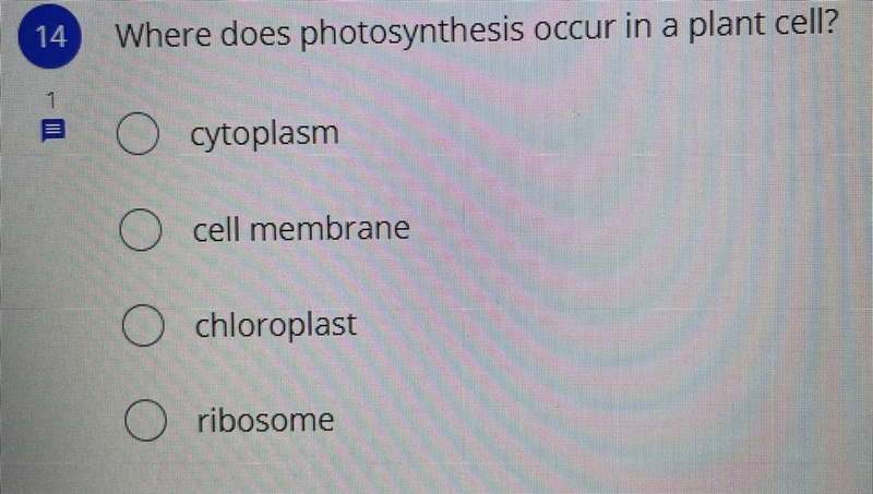 Plz help I need help-example-1