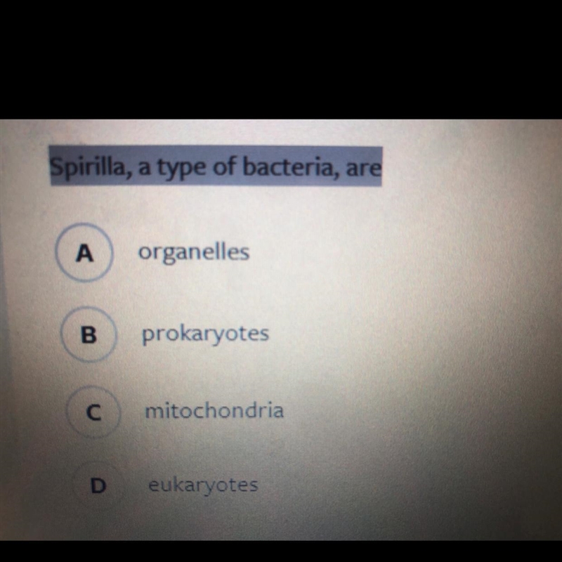 What type of bacteria is spirilla.-example-1