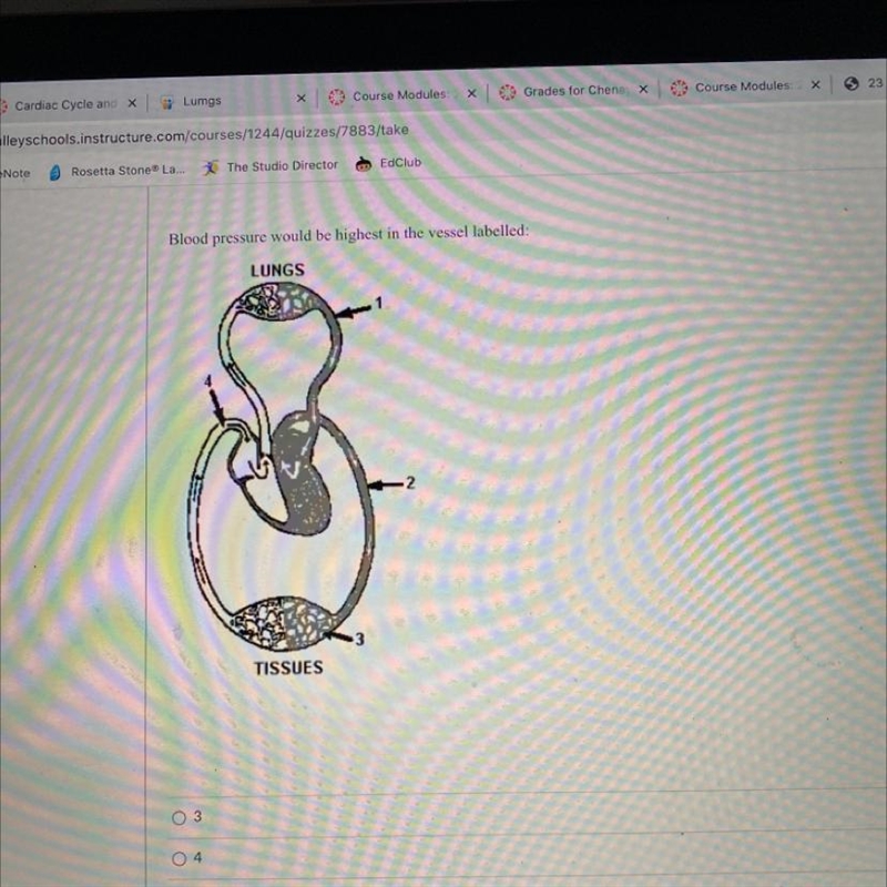 Blood pressure would be highest in the vessel labelled: 3 4 2 1-example-1