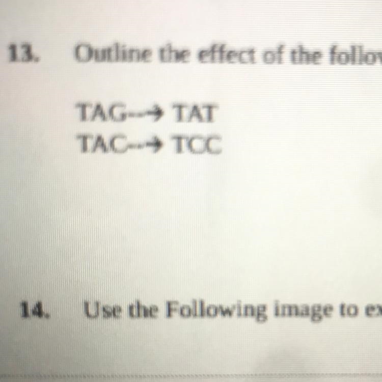 Outline the effect of the following mutations: TAG-> TAT TAC-> TCC-example-1