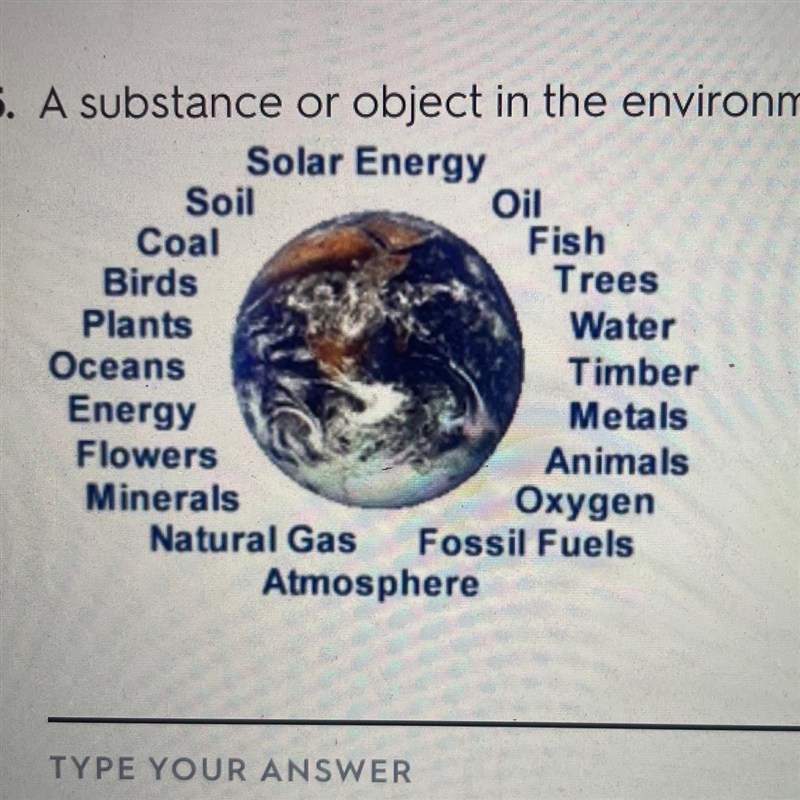 A substance or object in the environment required by an organism for life?-example-1