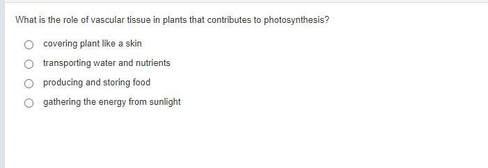 What is the role of vascular tissue in plants that contributes to photosynthesis? A-example-1