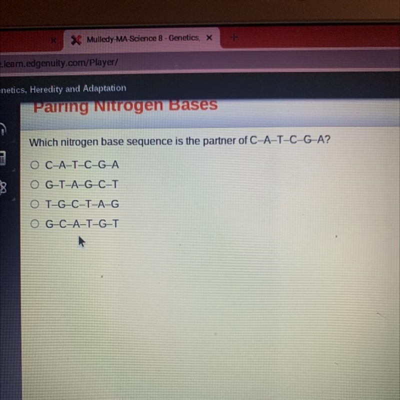 Which nitrogen base sequence is the partner of C-A-T-C-G-A? O C-A-T-C-G-A G-T-A-G-example-1