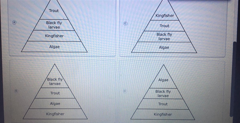 Based on the table, which trophic pyramid is correct.-example-1