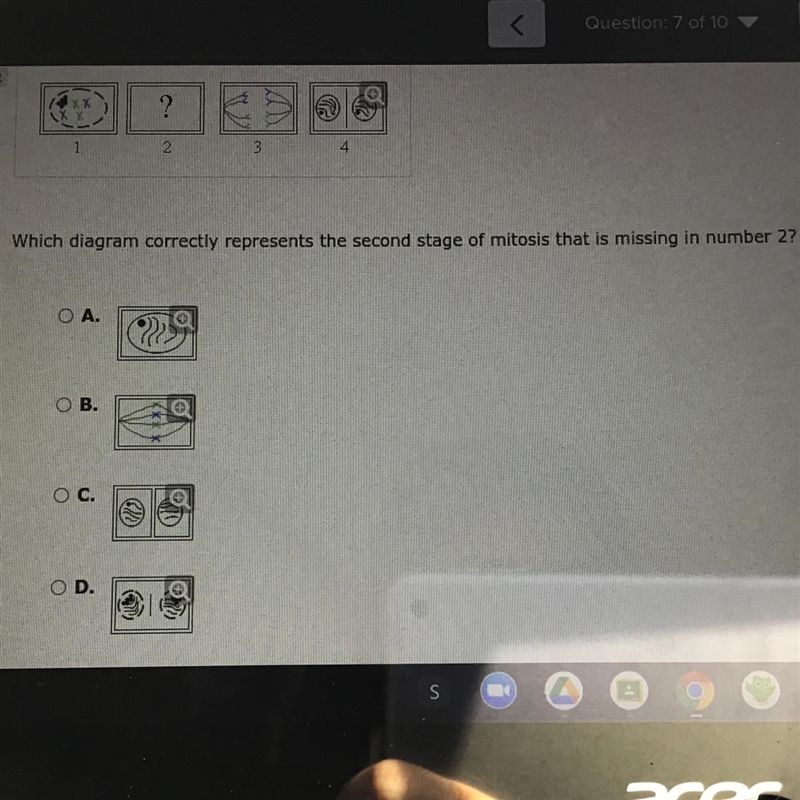 Which diagram correctly represents the second stage of mitosis that is missing in-example-1