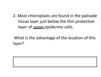 PLEASE HELP ME WITH THIS-example-1