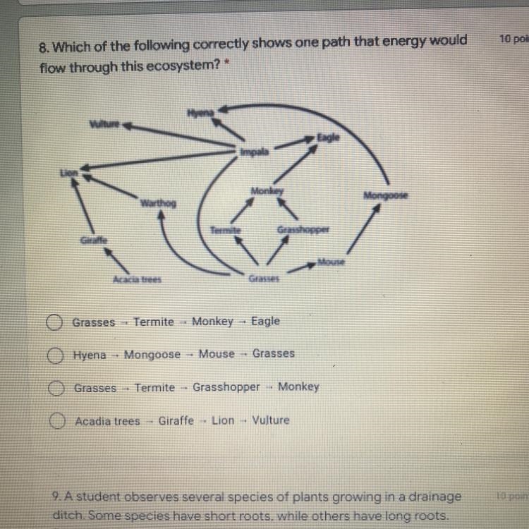 8. Which of the following correctly shows one path that energy would flow through-example-1