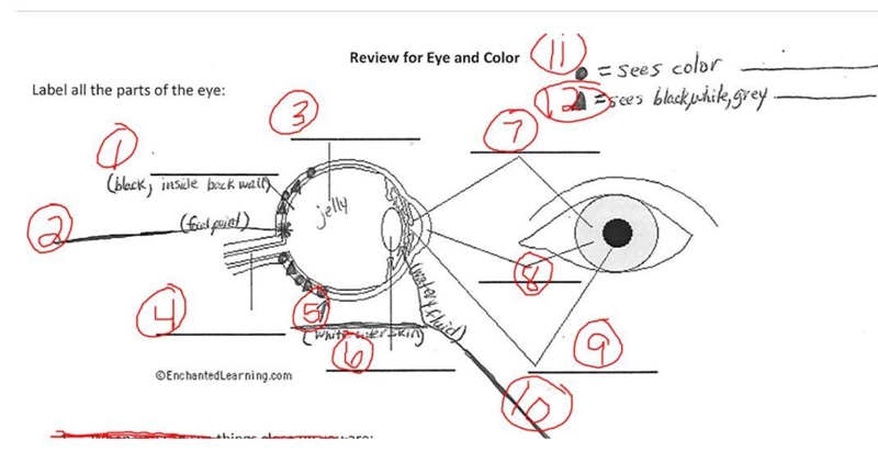 My teacher's notes are jumbled so I can't really answer these properly-example-1