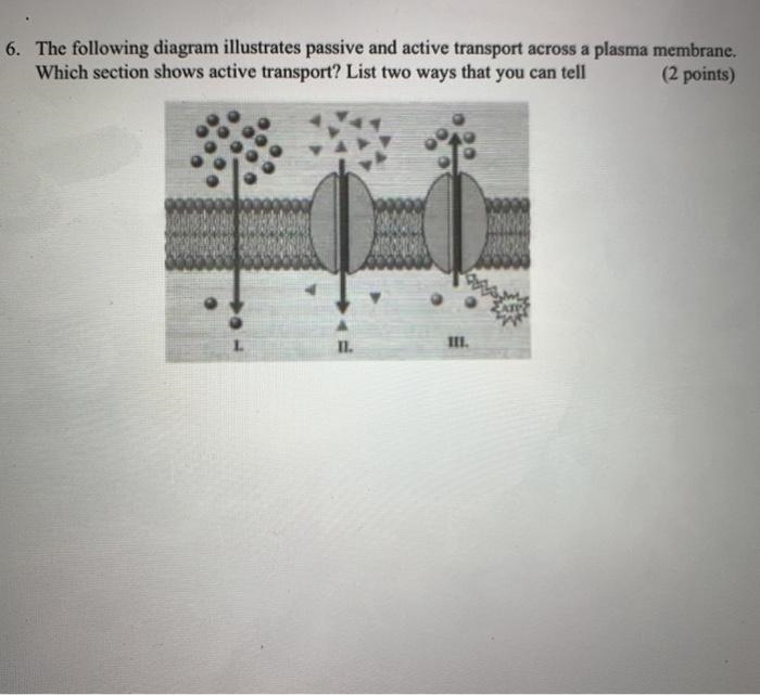 What is the answer to this-example-1