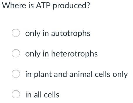 Where is ATP produced?-example-1