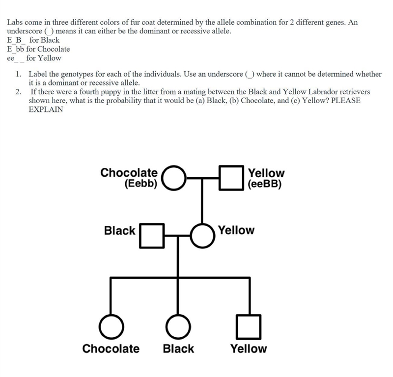 Please explain answers-example-1