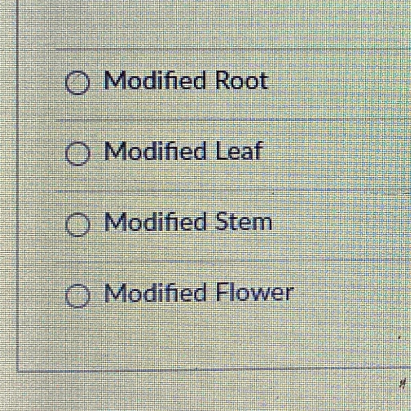 A tuber, or potato, is what type of modified plant structure?-example-1