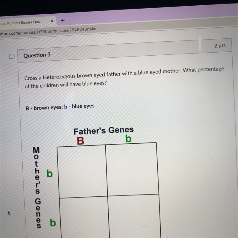 Cross a heterozygous brown eyed father with a blue eyed mother. What percentage of-example-1