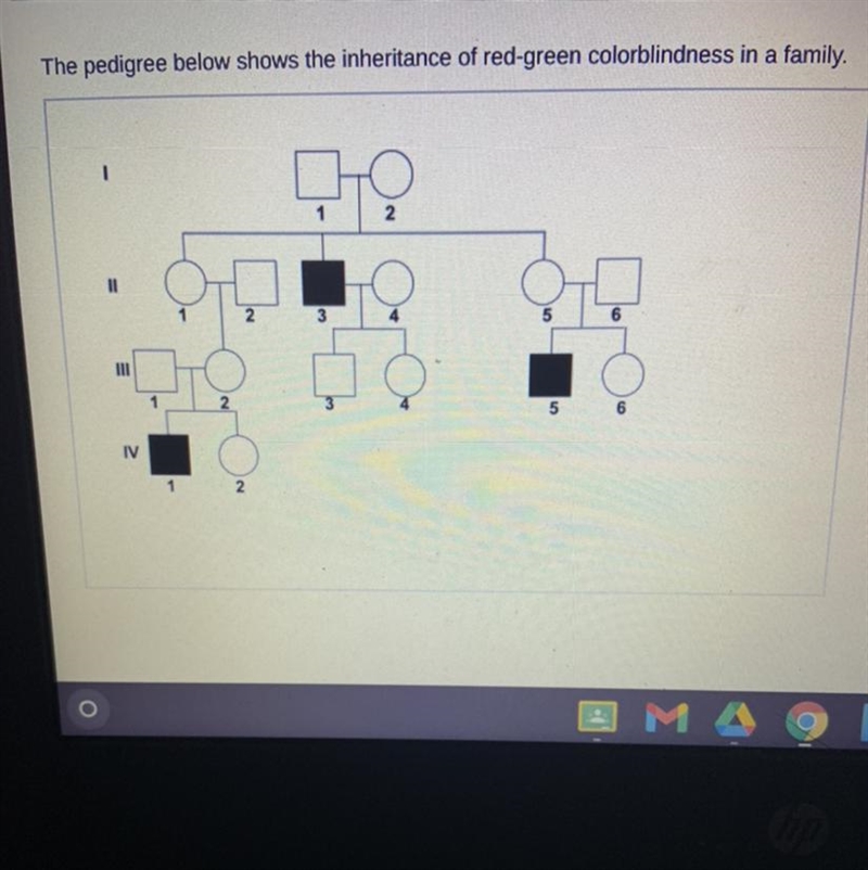 What is the genotype of all the shaded individuals? A XHXH B xHxh C XHY D XhY-example-1