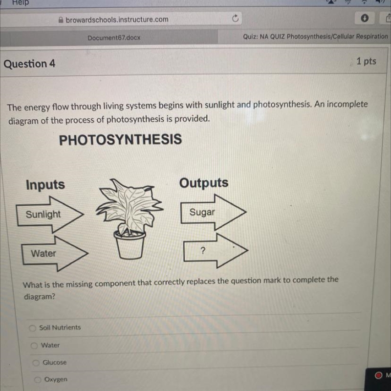 Please help quick The energy flow through living systems begins with sunlight and-example-1